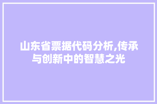 山东省票据代码分析,传承与创新中的智慧之光