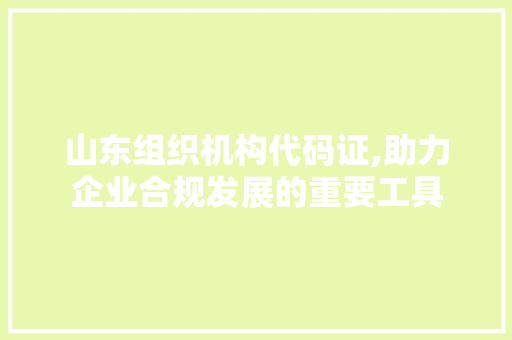 山东组织机构代码证,助力企业合规发展的重要工具