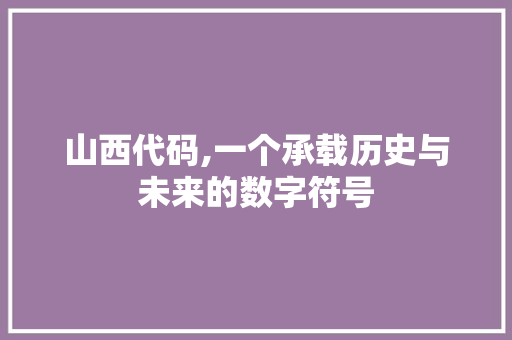 山西代码,一个承载历史与未来的数字符号