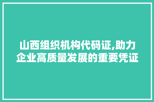 山西组织机构代码证,助力企业高质量发展的重要凭证