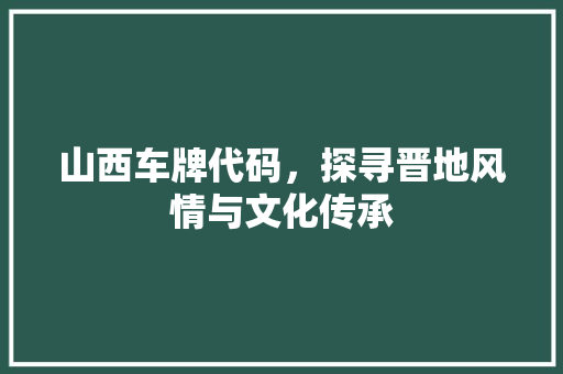 山西车牌代码，探寻晋地风情与文化传承