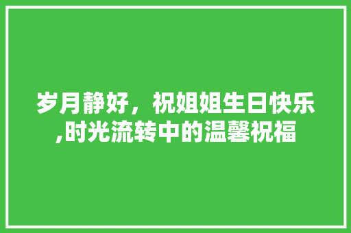 岁月静好，祝姐姐生日快乐,时光流转中的温馨祝福