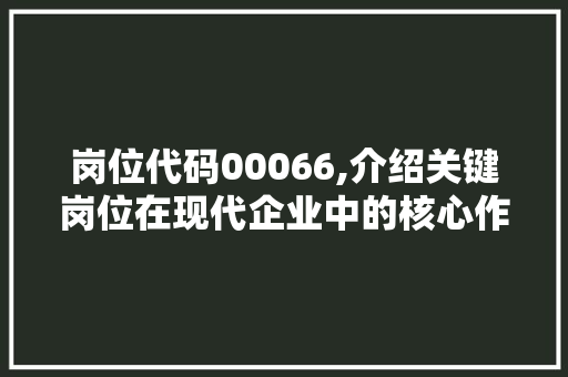 岗位代码00066,介绍关键岗位在现代企业中的核心作用