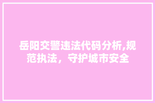 岳阳交警违法代码分析,规范执法，守护城市安全