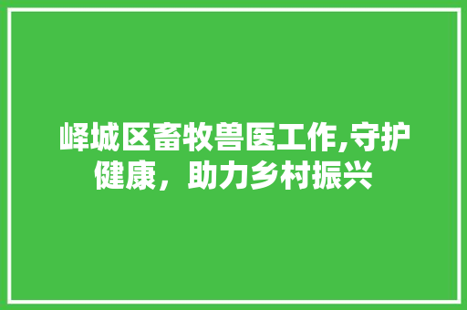 峄城区畜牧兽医工作,守护健康，助力乡村振兴