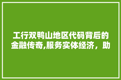 工行双鸭山地区代码背后的金融传奇,服务实体经济，助力区域发展