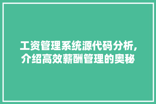 工资管理系统源代码分析,介绍高效薪酬管理的奥秘