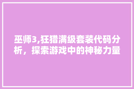 巫师3,狂猎满级套装代码分析，探索游戏中的神秘力量