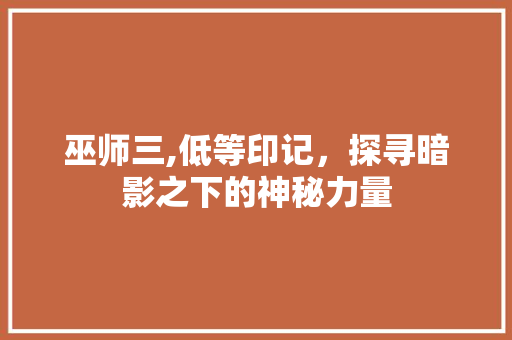 巫师三,低等印记，探寻暗影之下的神秘力量