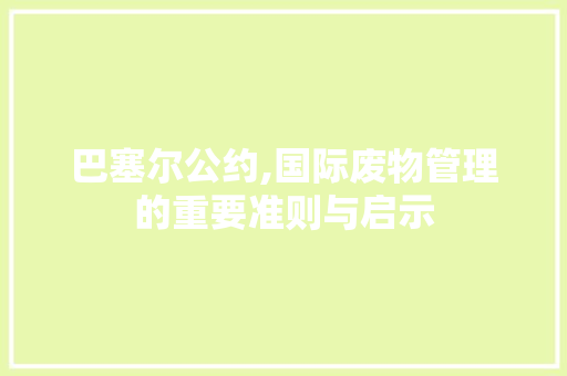 巴塞尔公约,国际废物管理的重要准则与启示