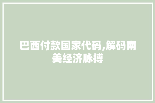 巴西付款国家代码,解码南美经济脉搏