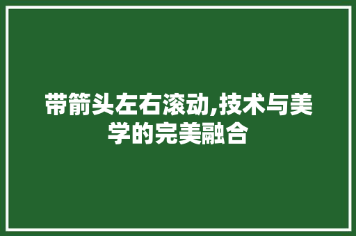 带箭头左右滚动,技术与美学的完美融合