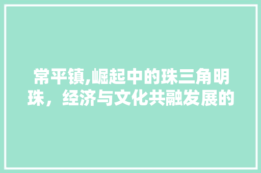 常平镇,崛起中的珠三角明珠，经济与文化共融发展的典范