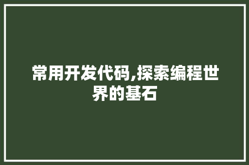 常用开发代码,探索编程世界的基石