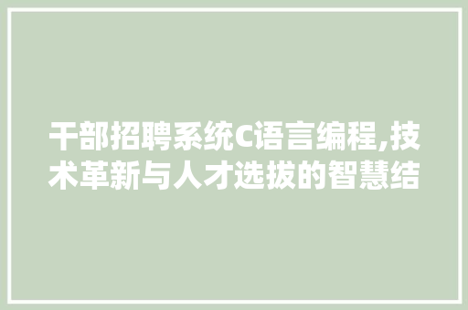 干部招聘系统C语言编程,技术革新与人才选拔的智慧结晶