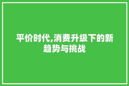 平价时代,消费升级下的新趋势与挑战