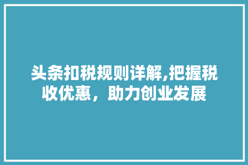 头条扣税规则详解,把握税收优惠，助力创业发展