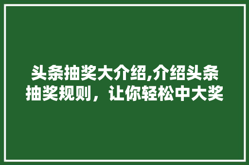 头条抽奖大介绍,介绍头条抽奖规则，让你轻松中大奖！