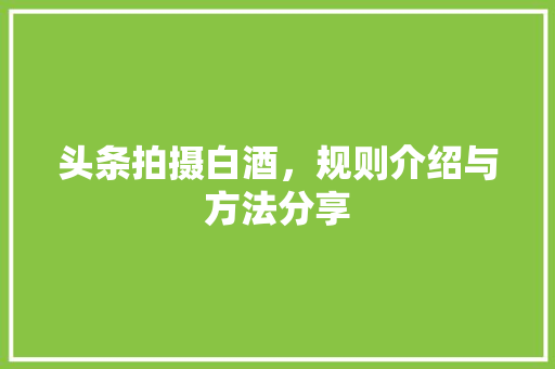 头条拍摄白酒，规则介绍与方法分享