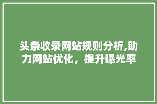 头条收录网站规则分析,助力网站优化，提升曝光率