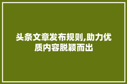 头条文章发布规则,助力优质内容脱颖而出