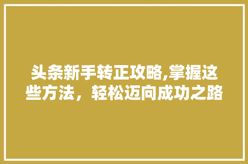 头条新手转正攻略,掌握这些方法，轻松迈向成功之路！