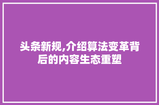 头条新规,介绍算法变革背后的内容生态重塑