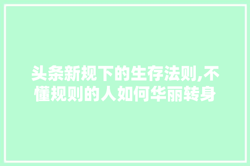 头条新规下的生存法则,不懂规则的人如何华丽转身