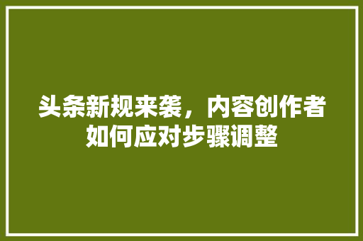 头条新规来袭，内容创作者如何应对步骤调整