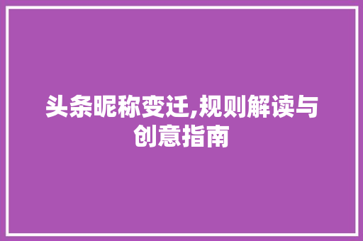 头条昵称变迁,规则解读与创意指南