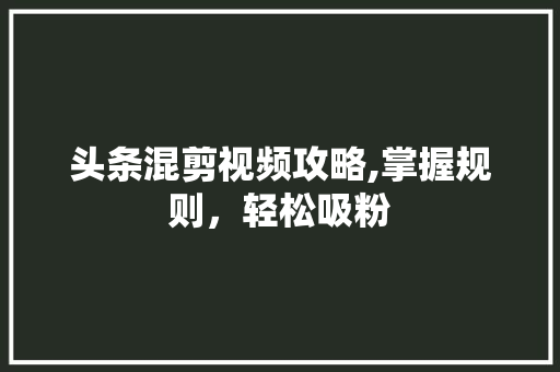 头条混剪视频攻略,掌握规则，轻松吸粉