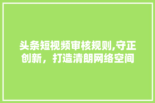 头条短视频审核规则,守正创新，打造清朗网络空间