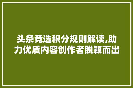 头条竞选积分规则解读,助力优质内容创作者脱颖而出