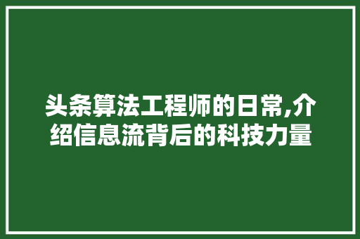 头条算法工程师的日常,介绍信息流背后的科技力量