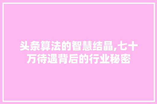 头条算法的智慧结晶,七十万待遇背后的行业秘密