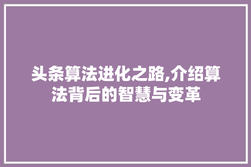 头条算法进化之路,介绍算法背后的智慧与变革