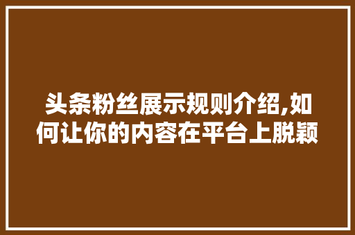 头条粉丝展示规则介绍,如何让你的内容在平台上脱颖而出