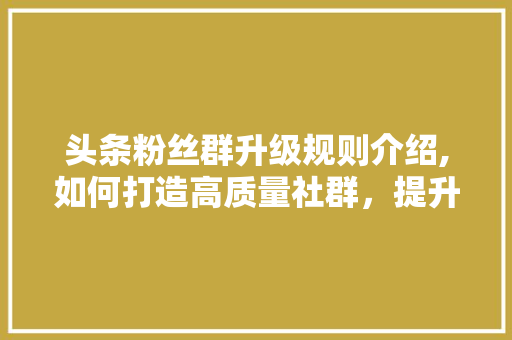 头条粉丝群升级规则介绍,如何打造高质量社群，提升影响力