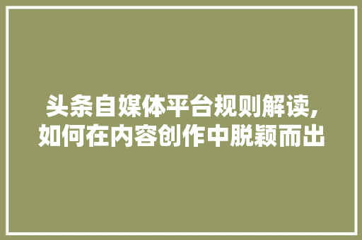 头条自媒体平台规则解读,如何在内容创作中脱颖而出