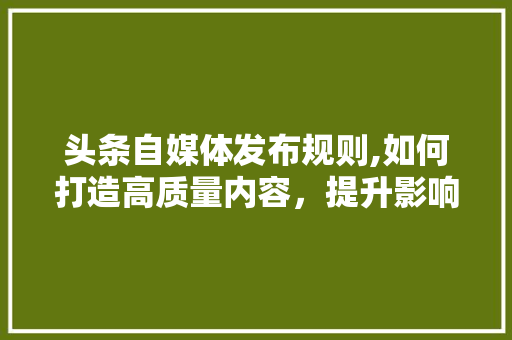 头条自媒体发布规则,如何打造高质量内容，提升影响力