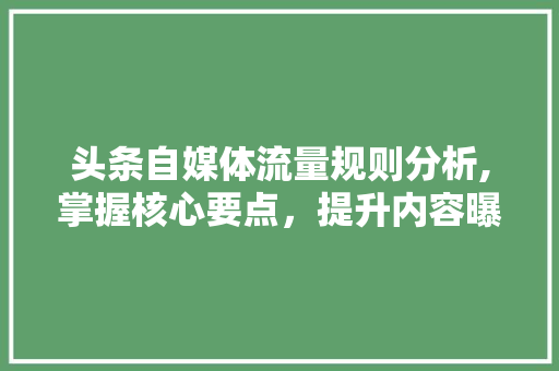 头条自媒体流量规则分析,掌握核心要点，提升内容曝光率