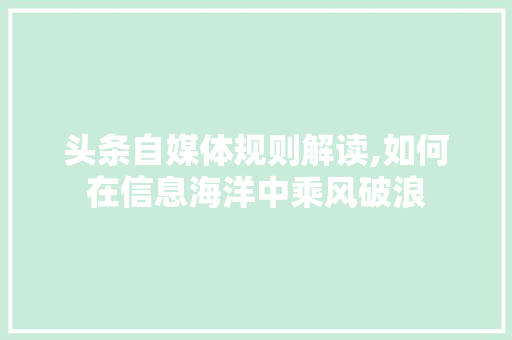 头条自媒体规则解读,如何在信息海洋中乘风破浪