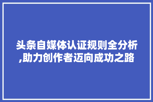 头条自媒体认证规则全分析,助力创作者迈向成功之路