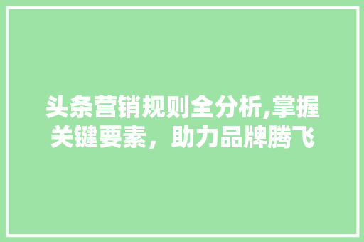 头条营销规则全分析,掌握关键要素，助力品牌腾飞