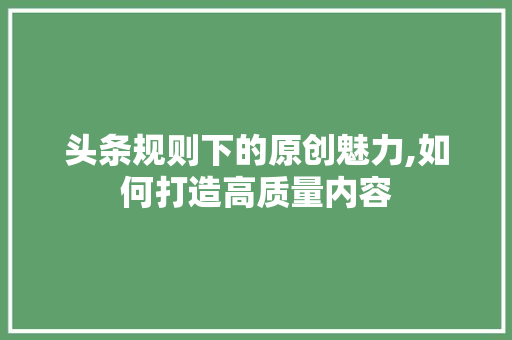 头条规则下的原创魅力,如何打造高质量内容