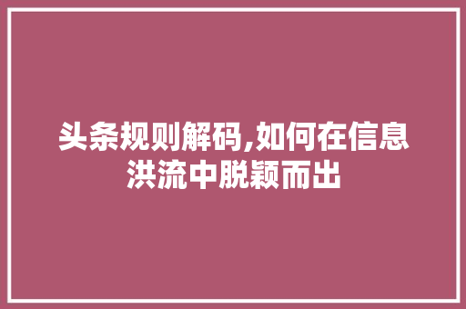 头条规则解码,如何在信息洪流中脱颖而出