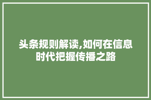 头条规则解读,如何在信息时代把握传播之路