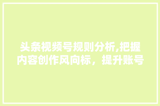 头条视频号规则分析,把握内容创作风向标，提升账号影响力