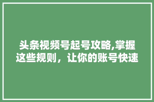 头条视频号起号攻略,掌握这些规则，让你的账号快速起飞！