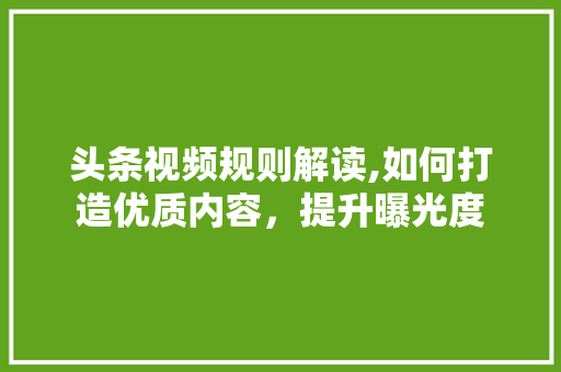 头条视频规则解读,如何打造优质内容，提升曝光度